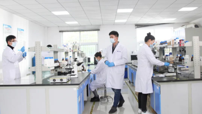 新涛研发团队 新涛研发团队