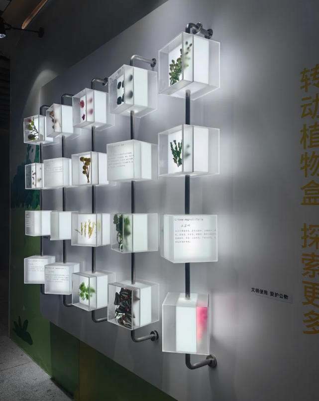 亚克力标本墙