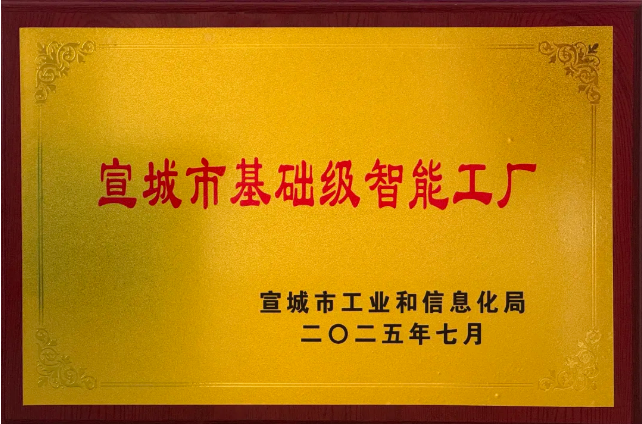 宣城市基础级智能工厂 宣城市基础级智能工厂