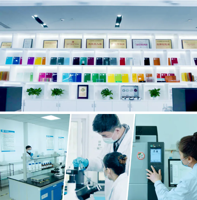 新涛研发与支持