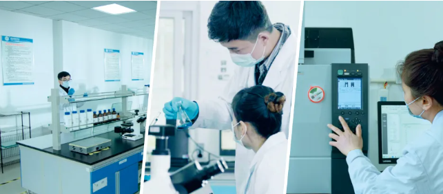 新涛研发支持 新涛研发支持