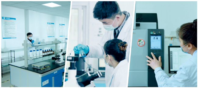 新涛研发 新涛研发